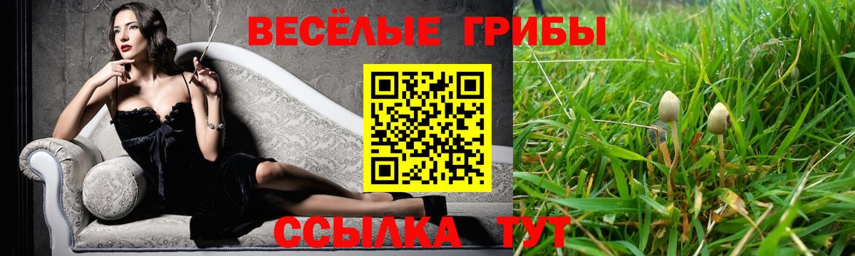 Южноуральск  Псилоцибиновые грибы мицелий  Вход с VPN 